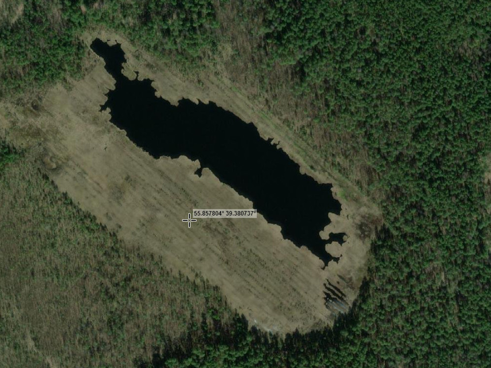 Общий вид верхового болота со спутника