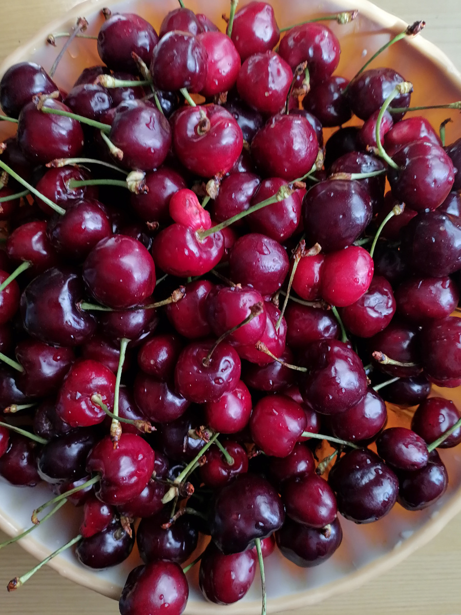 Фото 1. Черешневый релакс (для обложки)
