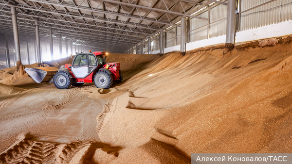    Фото: Алексей Коновалов/ТАСС   
 Текст: Ольга Самофалова