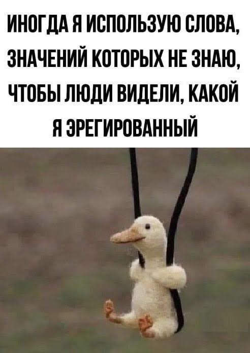 Фото из сети Интернет