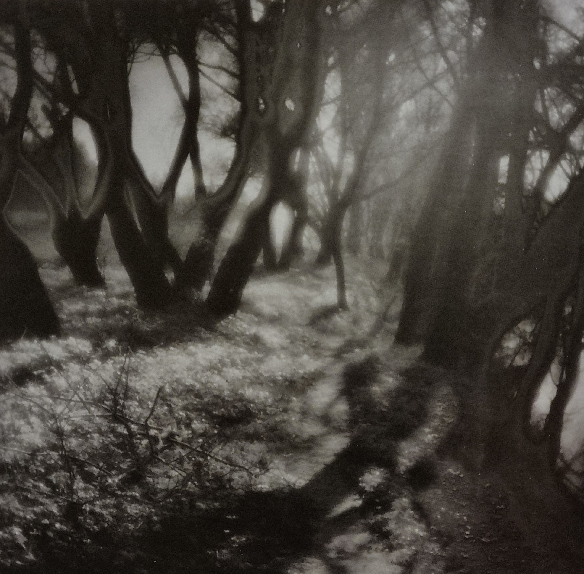 Анатолий Ерин. Берег реки Пахры, 1985.