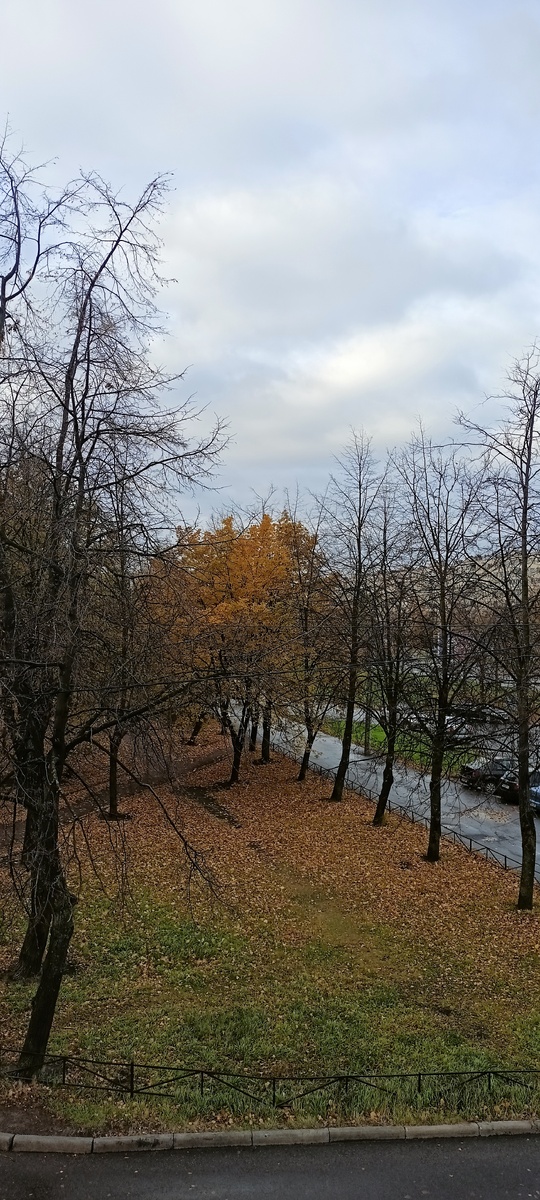 Фото автора.10:09