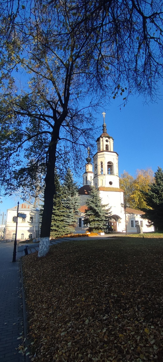 Обожаю прогулки по родному городу 