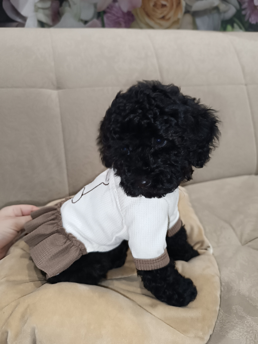 Нарядная поехала