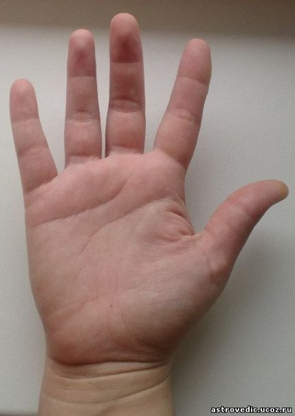 Руки сибарита. dzen.ru