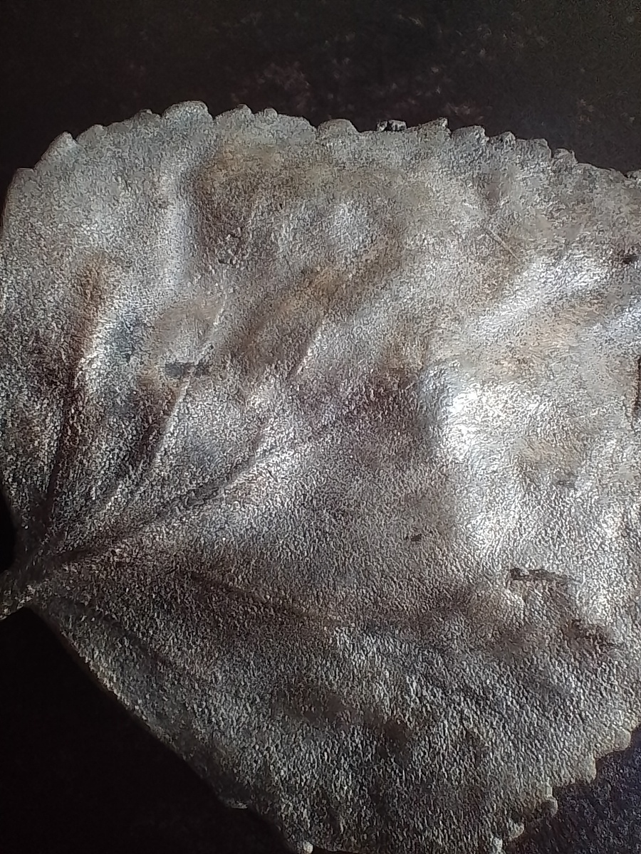 Никелированный лист березы