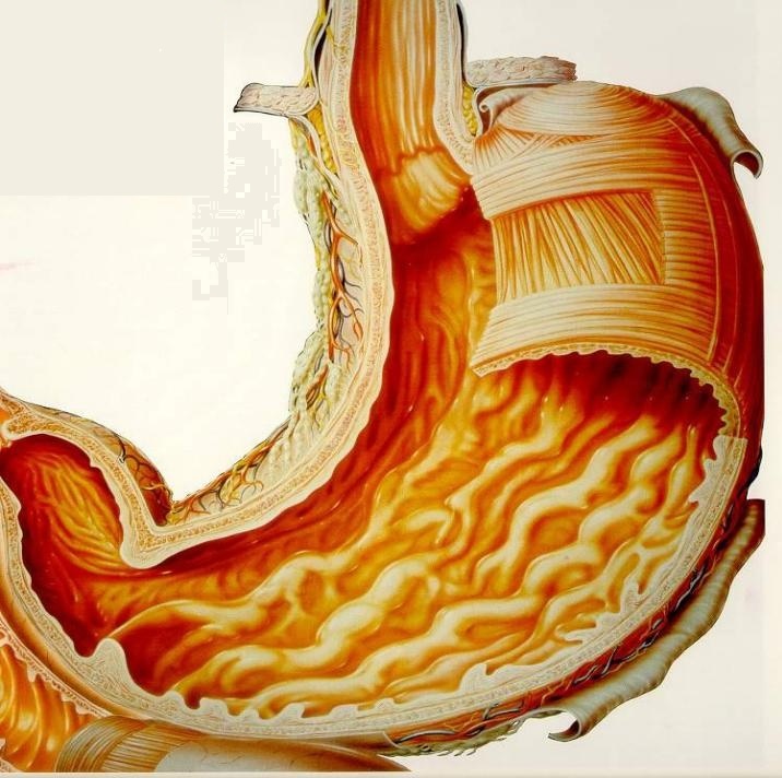 Рис. 00. Изображение получено из свободного доступа