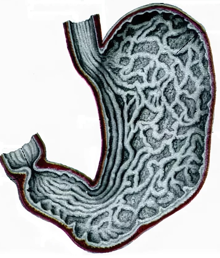 Рис. 01. Изображение получено из свободного доступа
