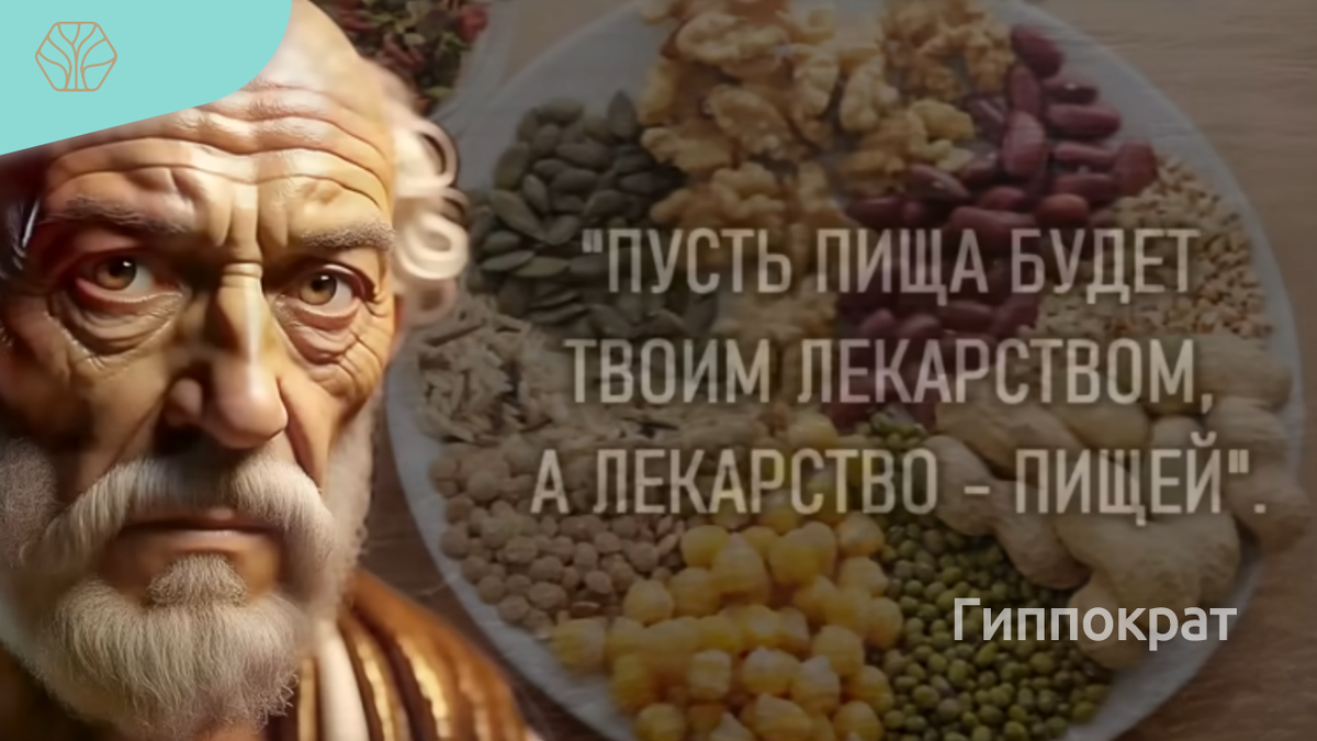 Гиппократ говорил: «Ваша пища должна быть лекарством, а ваше лекарство должно быть пищей»