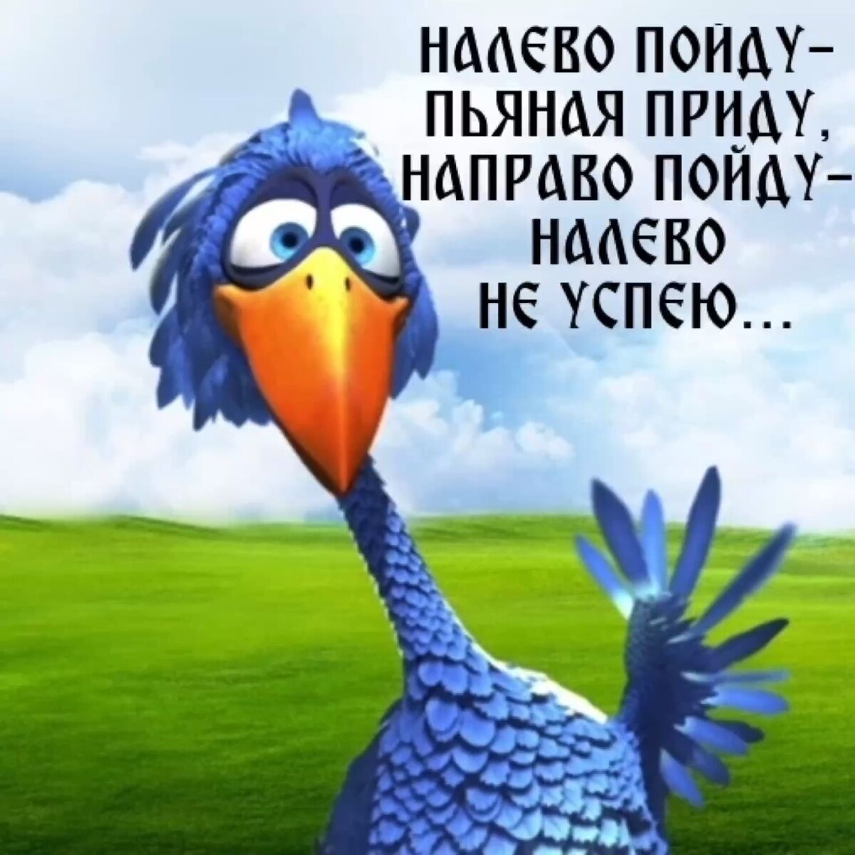 Куда бы вы хотели сходить?