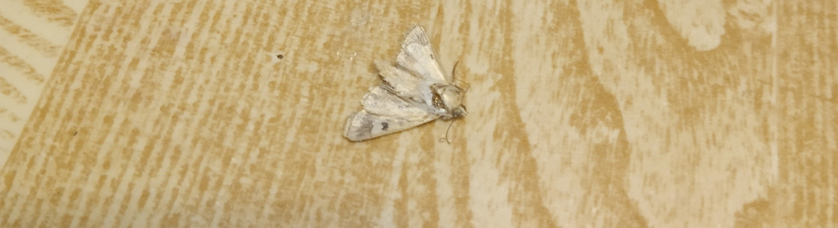 Фото автора .