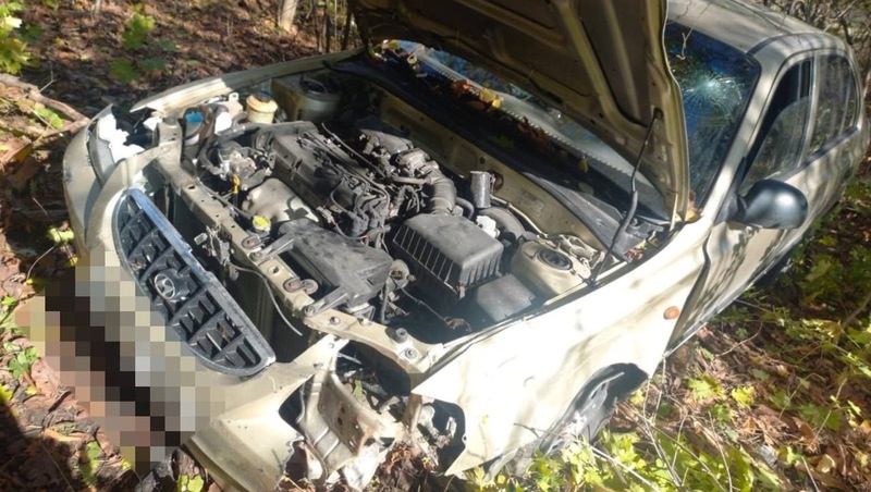      Фото: УГИБДД по СК