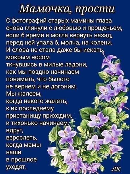 Фото из Яндекса .