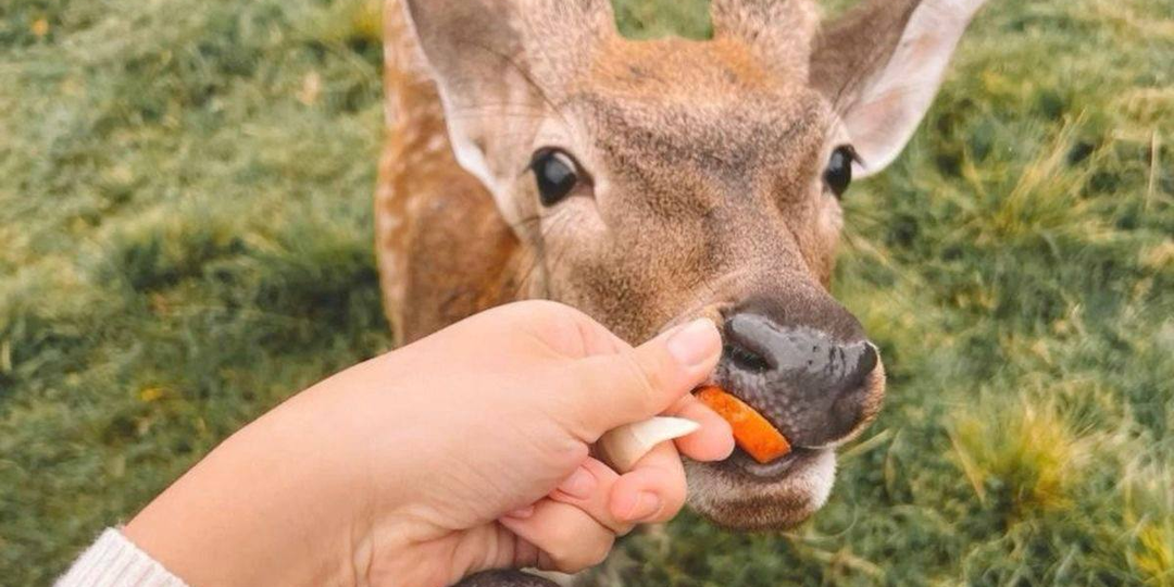 Что делать осенью в Москве?