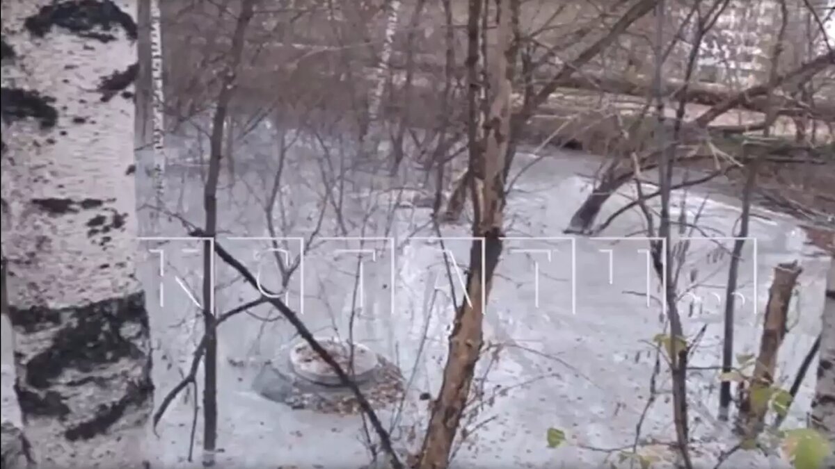     Источник: «Кстати»