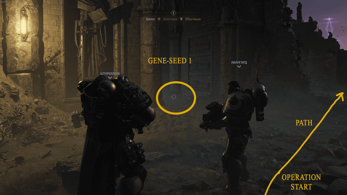 Как только вы высадились и прыгнули, проходите в разлом. Слева будет статуя и проход. За углом этого прохода лежит геносемя.
