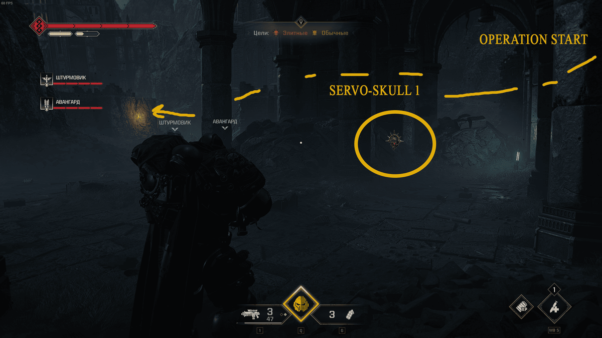 От геносемени 1 пройдите чуть-чуть вперёд и снова поверните налево, за грудой камней в засыпанном проходе будет сервочереп.
