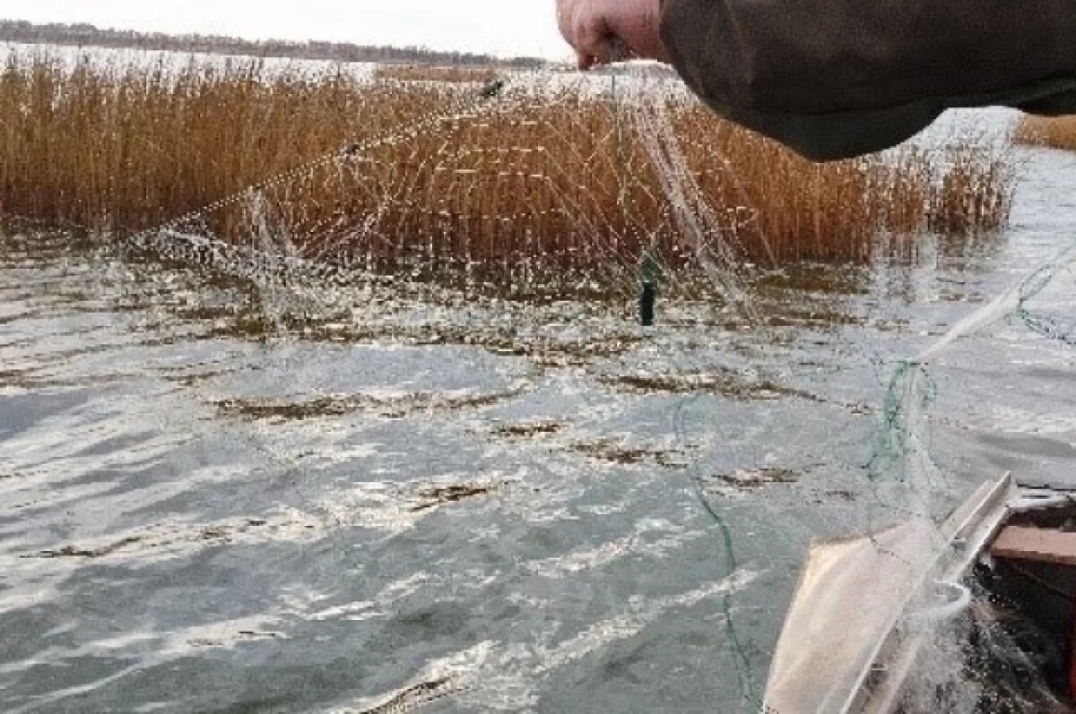    Крупные, мясистые караси стали мелкими и костистыми.