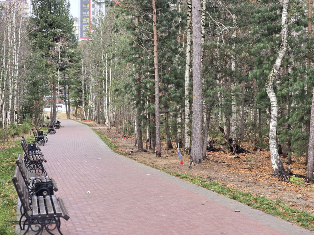    Сургутян порадует обновлённый сквер