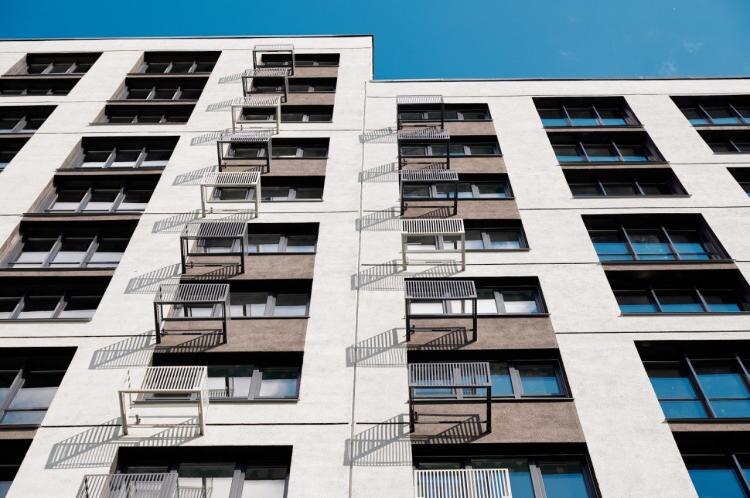 Фото: Владимир Кирчаков