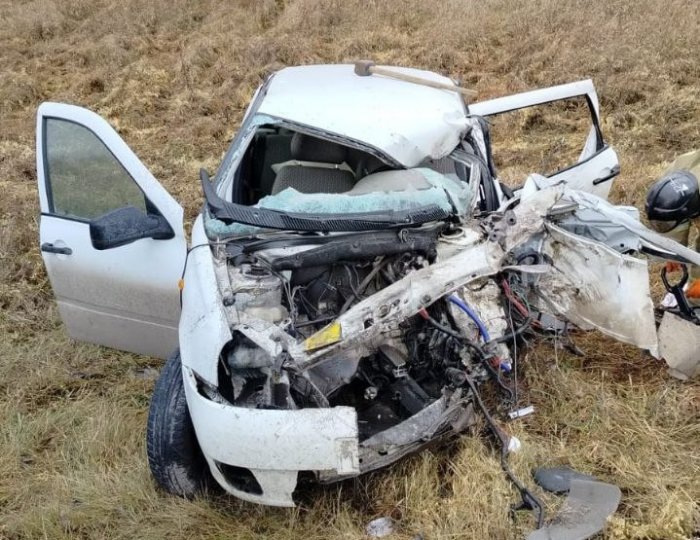 Фото Госавтоинспекции Новосибирской области.