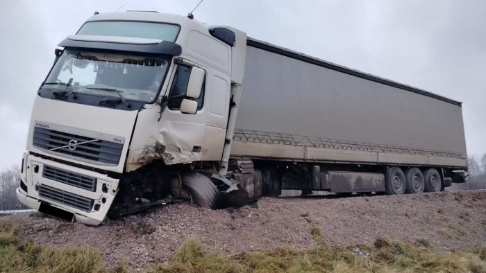 Фото Госавтоинспекции Новосибирской области.
