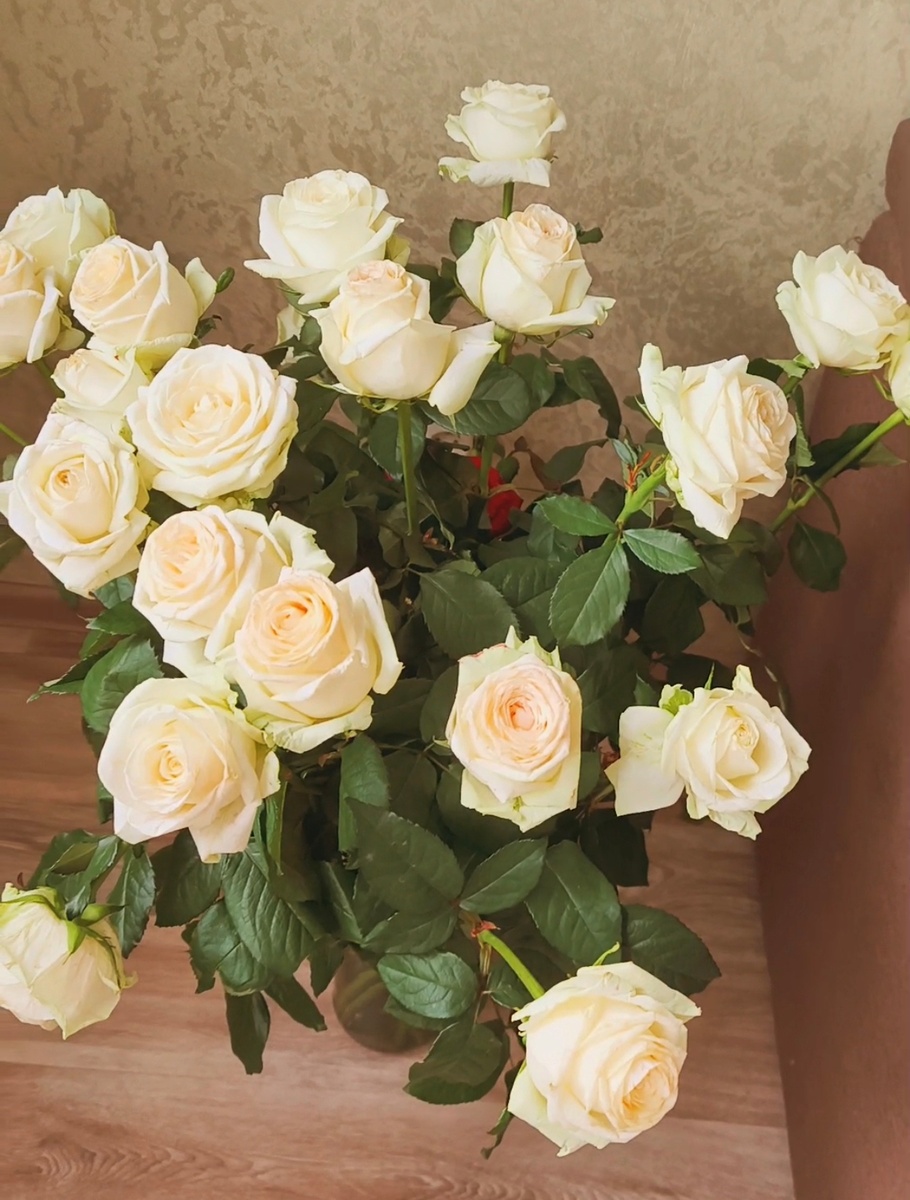 Все фотографии в статье авторские