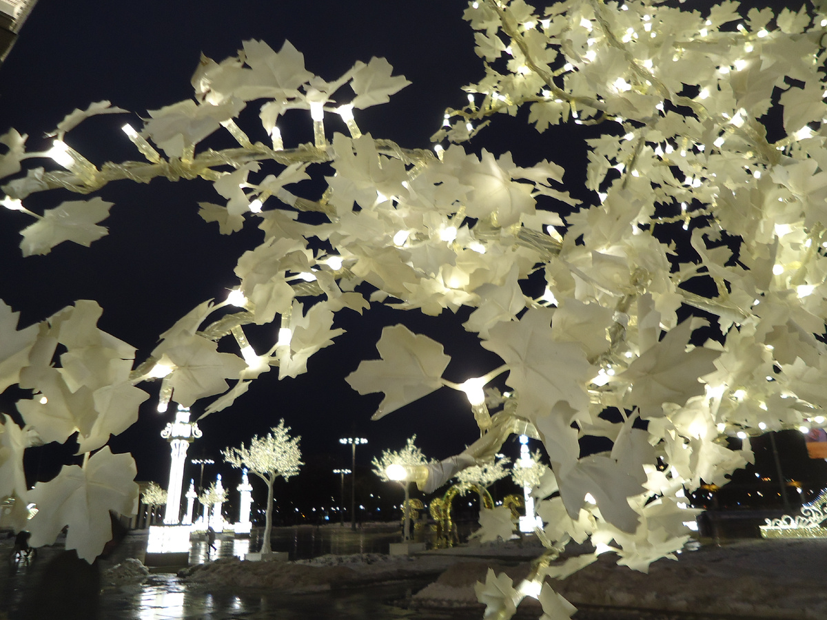 Новогодие на ВДНХ. Из архива автора.