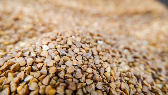    Патрушев: экспорт гречихи в 2024 году вырастет в полтора раза Татьяна Сидорова