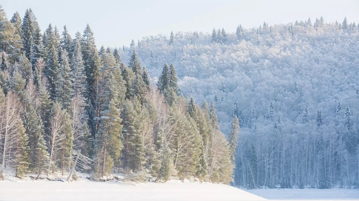    Автор: Светлана Мирсаева