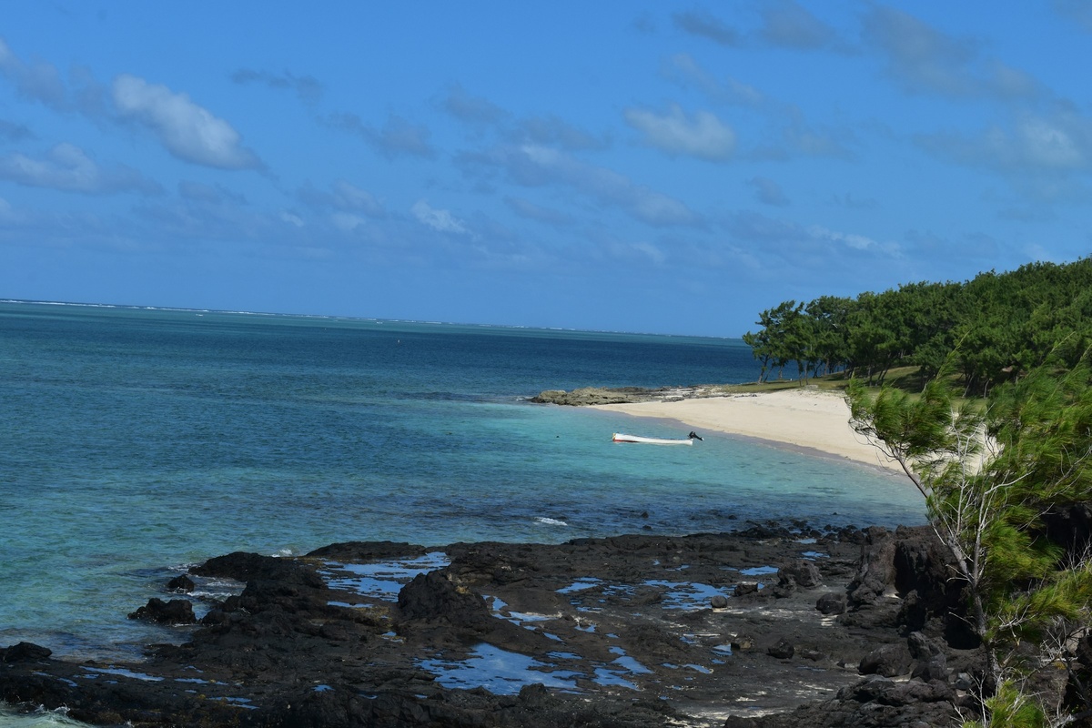 Фото с бесплатного фотостока https://unsplash.com, автор Desiree M