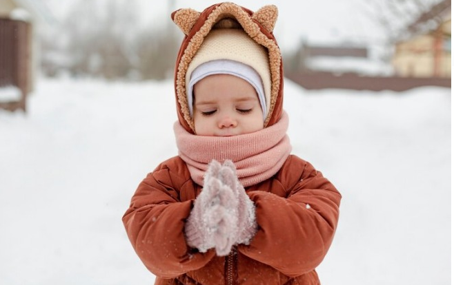 Фото: ru.freepik.com