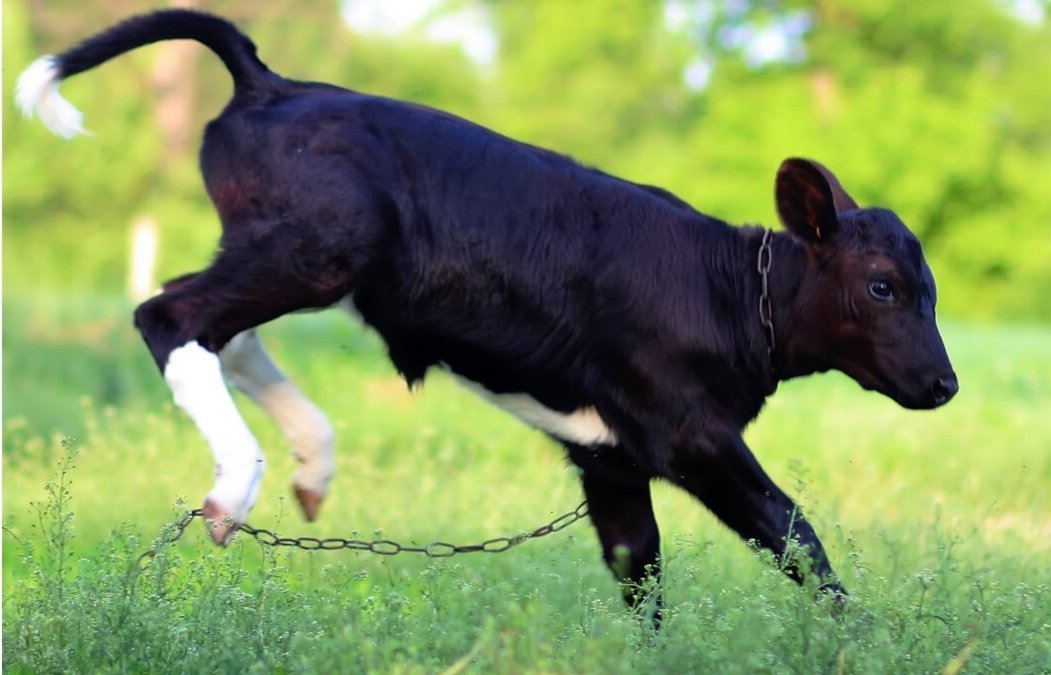 Снимок из свободных источников для иллюстрации.