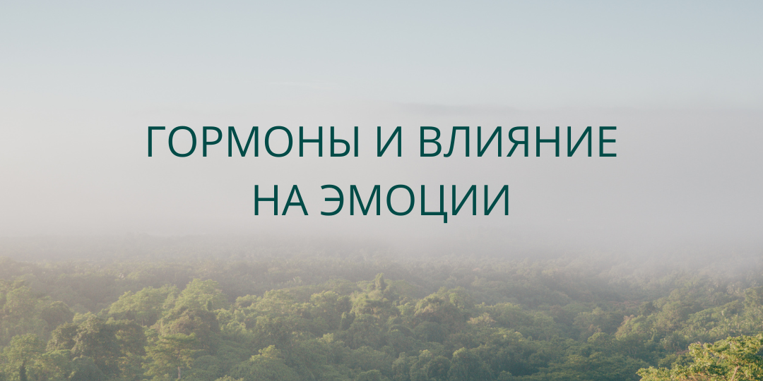 Гормоны и их влияние на настроение и образ жизни