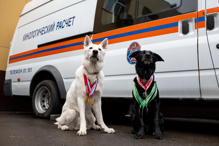    Фото: Юлия Федотова