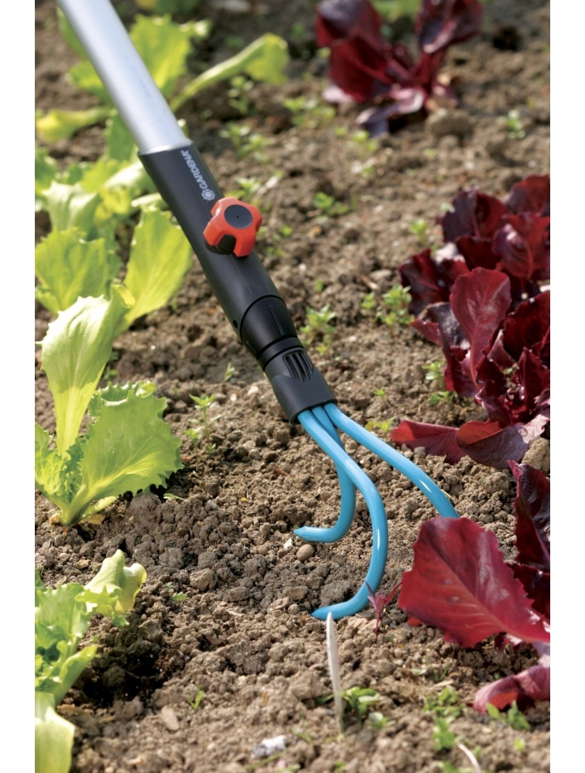 Фото: gard-shop.ru