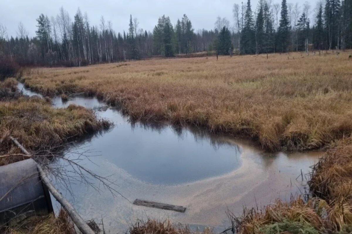    На место утечки горючей жидкости выезжала специальная комиссия.