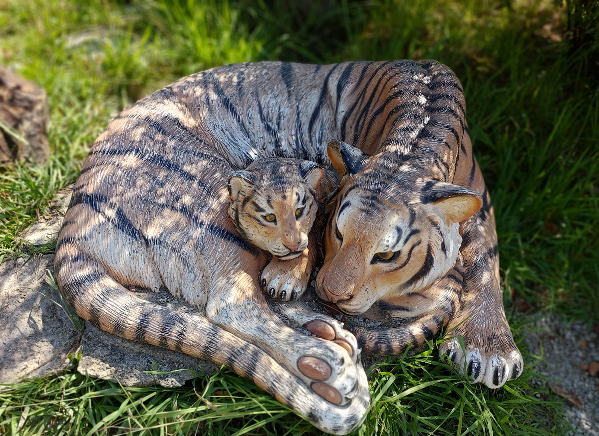 Где-то на территории комплекса