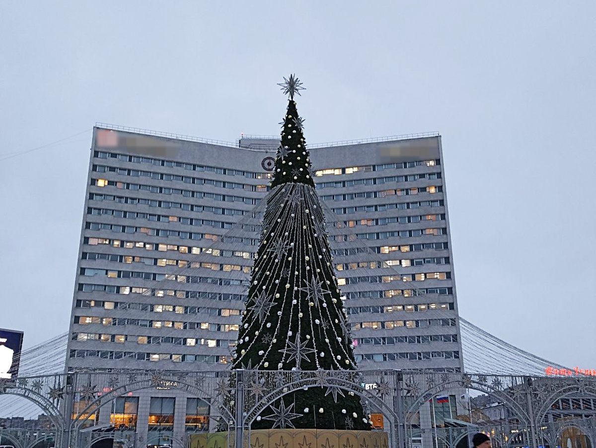 Романтические новогодние каникулы стоит провести в Мурманске.  Фото: ФедералПресс / Матвей Николаев