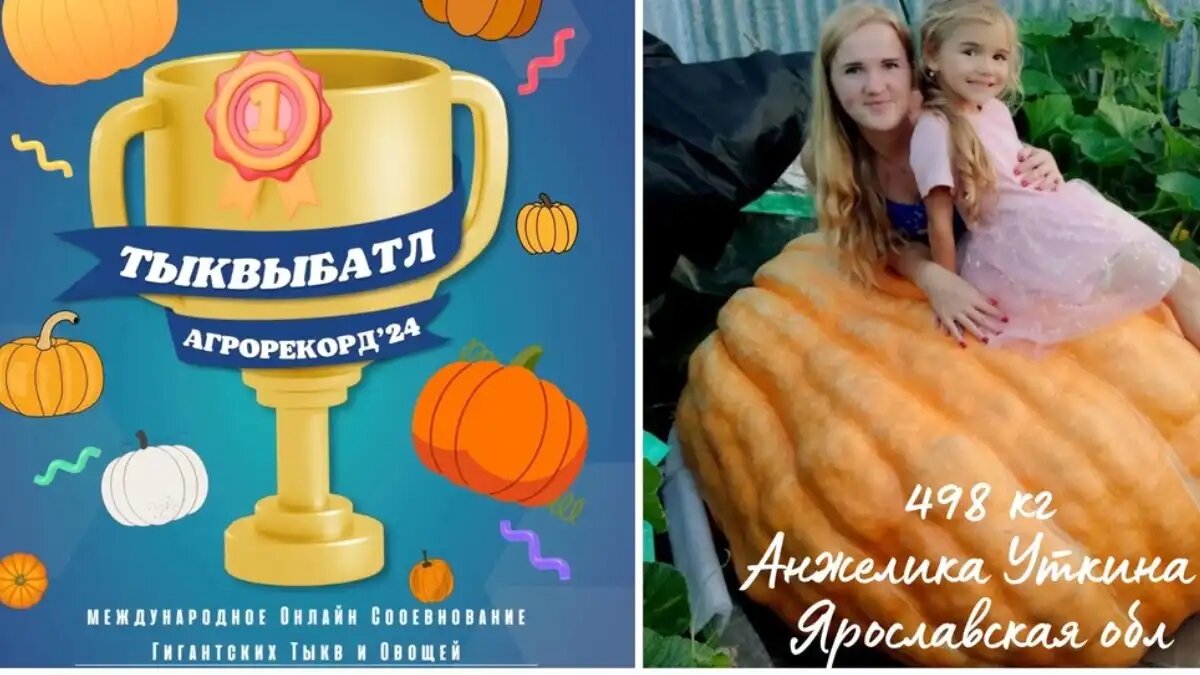 Фото: страница конкурса ТыквыБатл - АгроРекорд 2024 в VK Анжелика Уткина из Ярославской области вырастила тыкву весом 498 кг