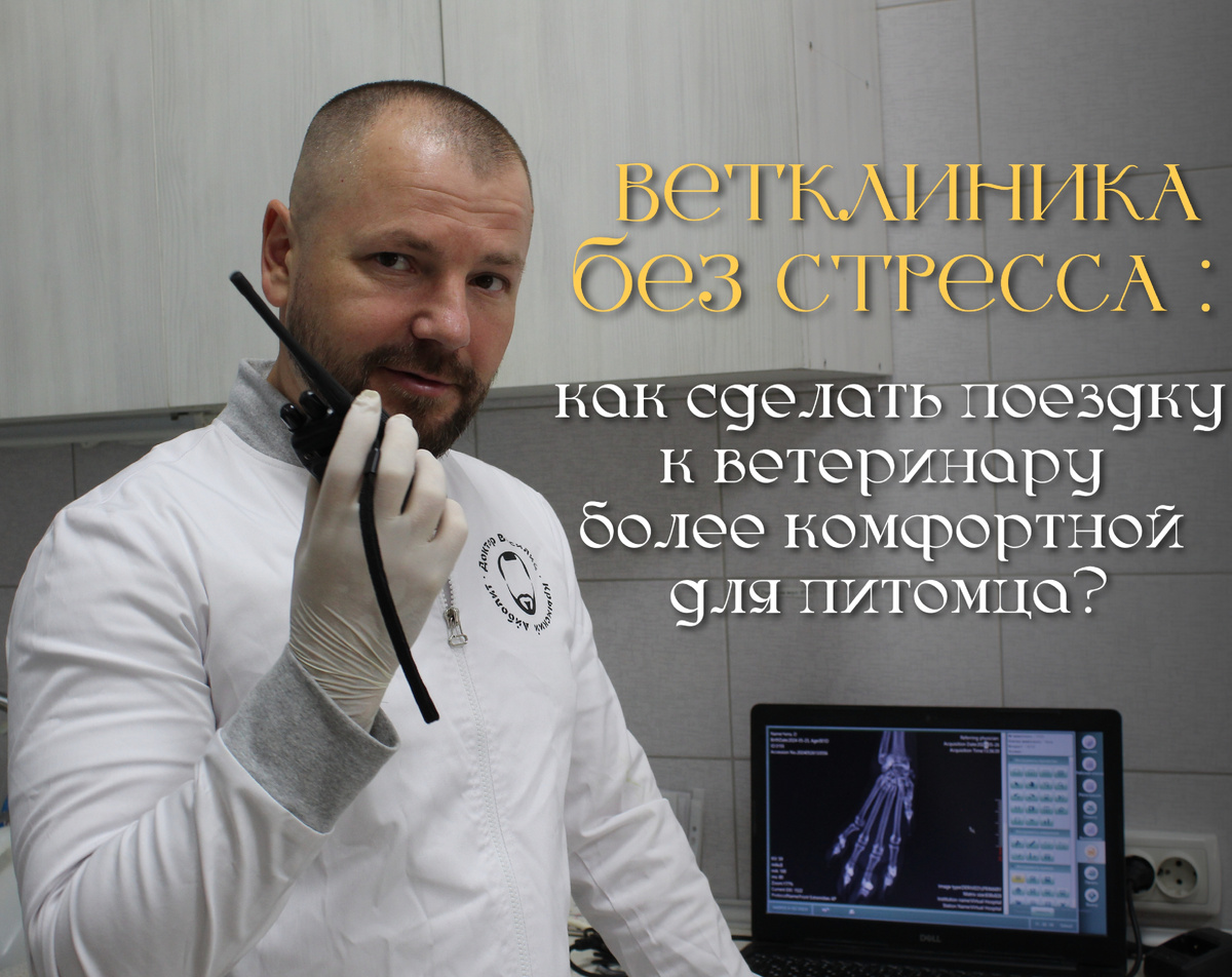 Посещение ветеринарной клиники – безусловно, стрессовое событие для любого животного. Особенно, если ваш питомец является "не подготовленным" и до этого ни разу не был в ветеринарной клинике/был всего лишь раз. 