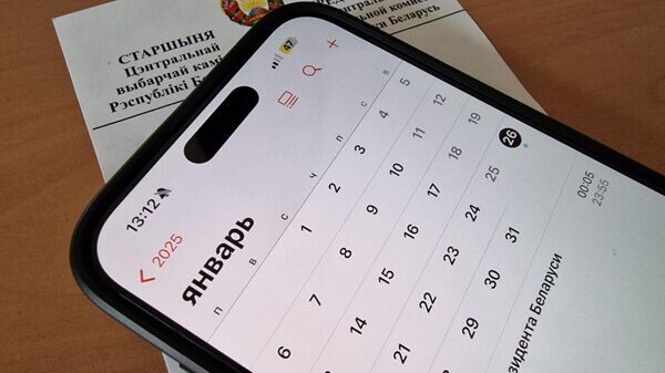    © Sputnik / Александр Жибуль