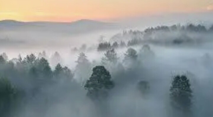 Фото взято с интернета