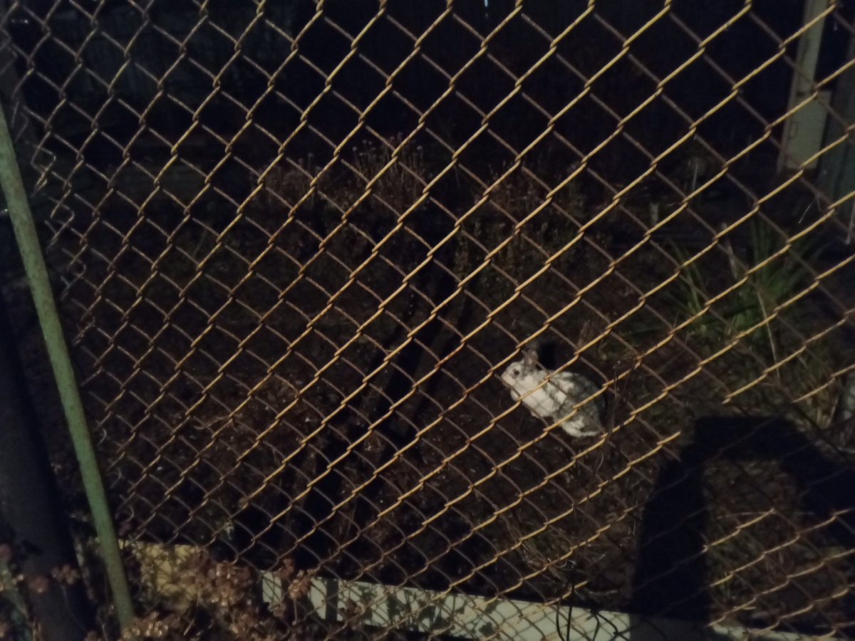 Хорошо, что двор освещается