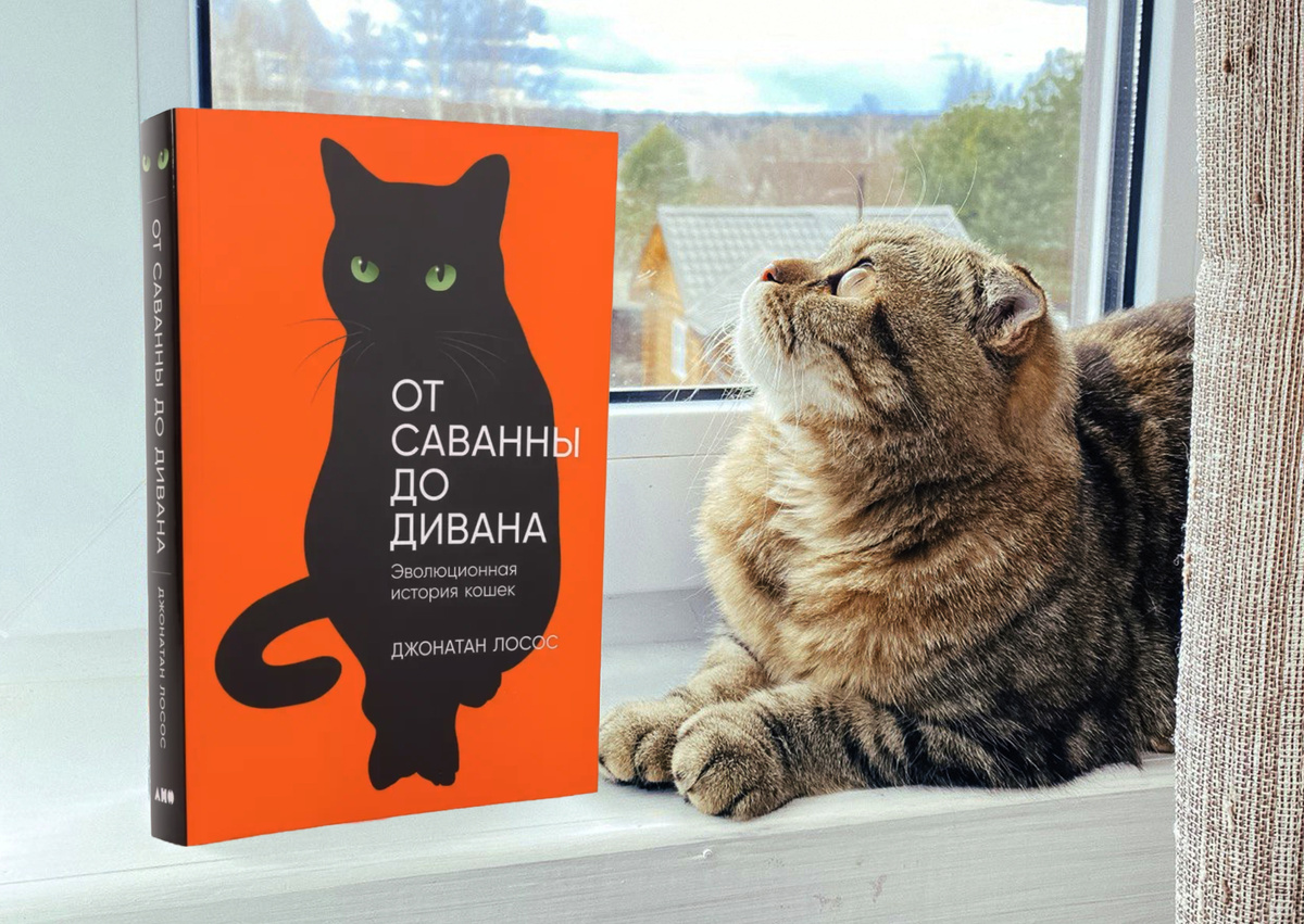 Мягкая обложка, 424 стр., издательство Альпина и моя вислоухая любовь - Алисочка