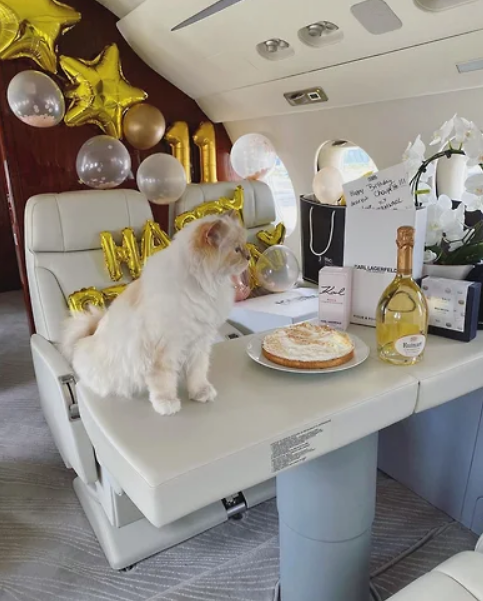 День рождения Шупетт всегда праздновался с размахом