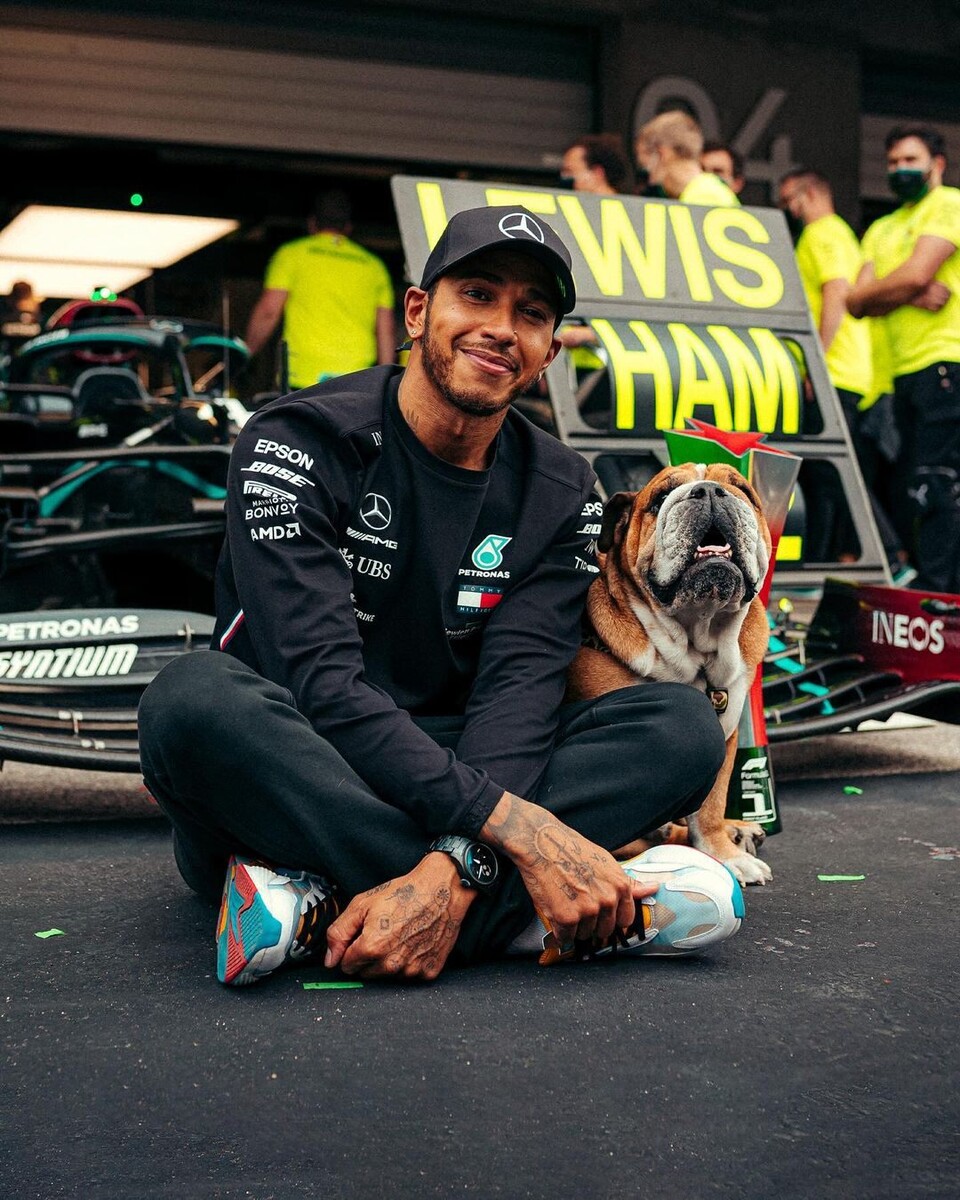   Льюис Хэмилтон и бульдог РоскоФото: Соцсети