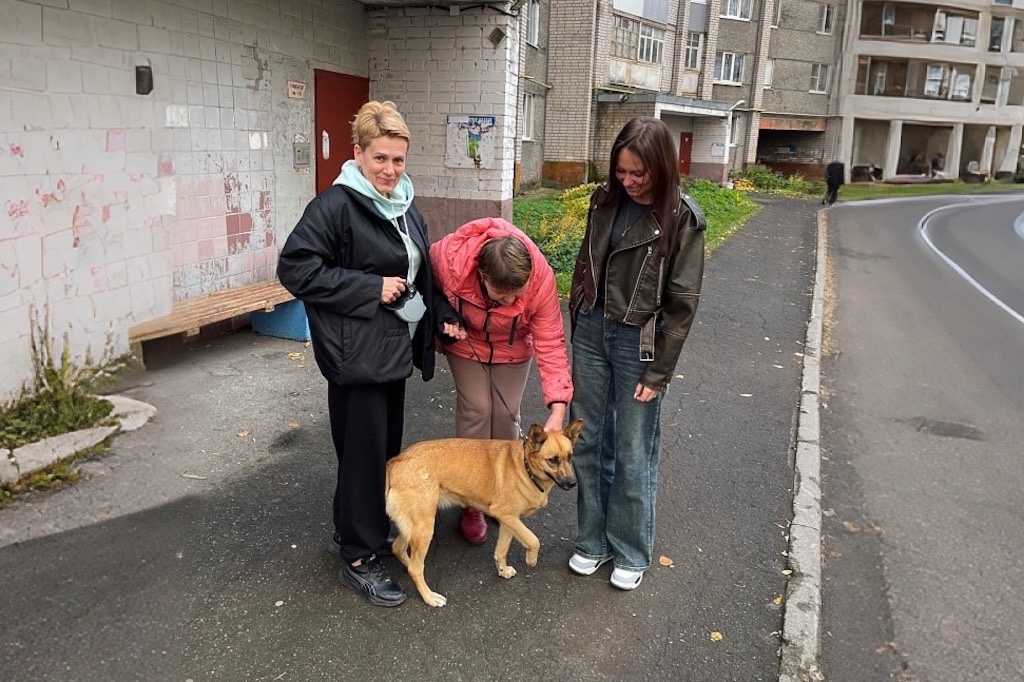    Альму забрали из приюта "СПАС" и привезли к хозяевам. Собака привыкает к новым условиям и уже подружилась с членами семьи.