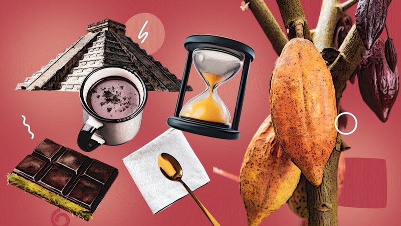      Фото: Камилла Улубаева / / ИА «Победа26»