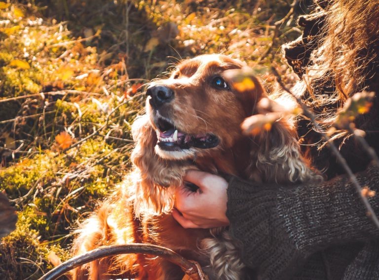    Фото: Первый женский/@cheer.mary Мария Черных